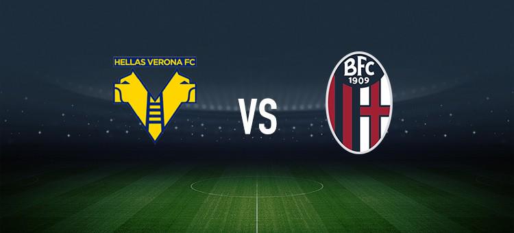 职业赛揭幕 职业赛揭幕